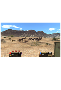 추격 사냥